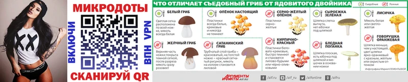KRAKEN онион  Михайлов  Галлюциногенные грибы Psilocybe  где найти  