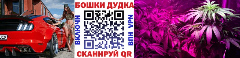 Каннабис White Widow  Михайлов 